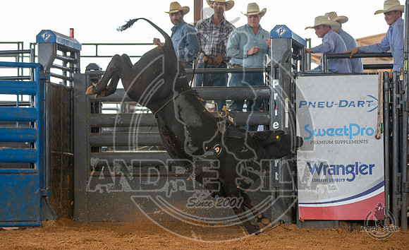 2020_May_23_ABBI_200