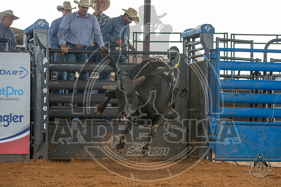 2020_May_23_ABBI_168