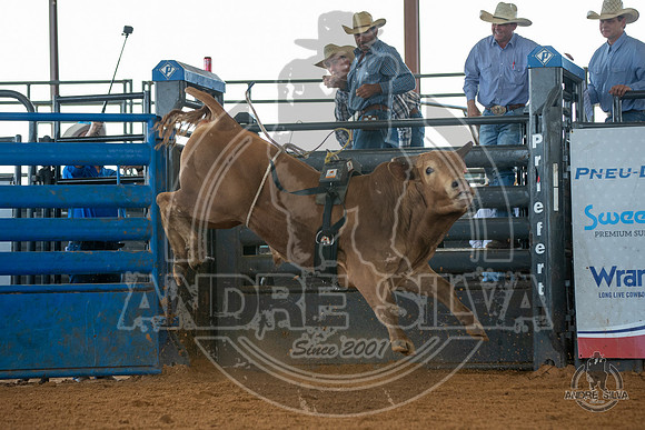 2020_May_23_ABBI_245