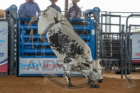 2020_May_23_ABBI_014