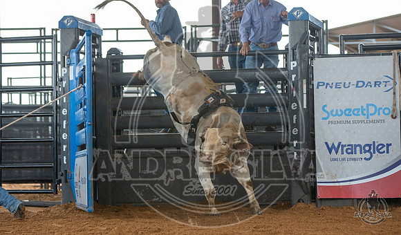2020_May_23_ABBI_166