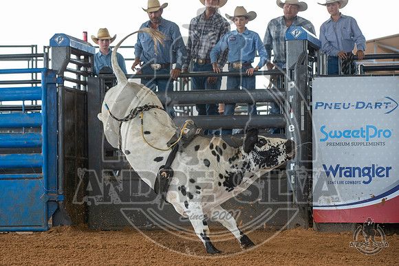 2020_May_23_ABBI_006