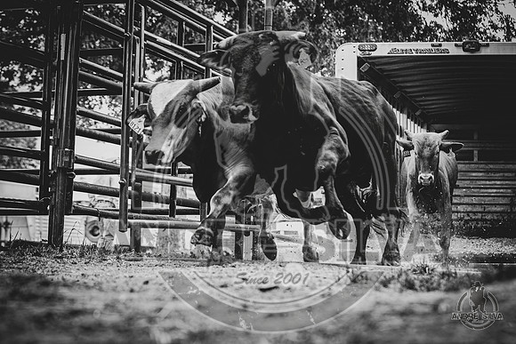2020_May_23_ABBI_402