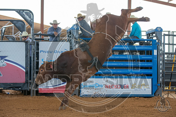 2020_May_23_ABBI_250