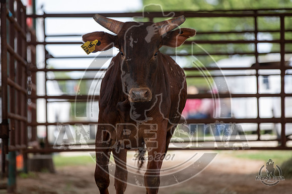 2020_May_23_ABBI_412