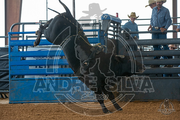 2020_May_23_ABBI_021