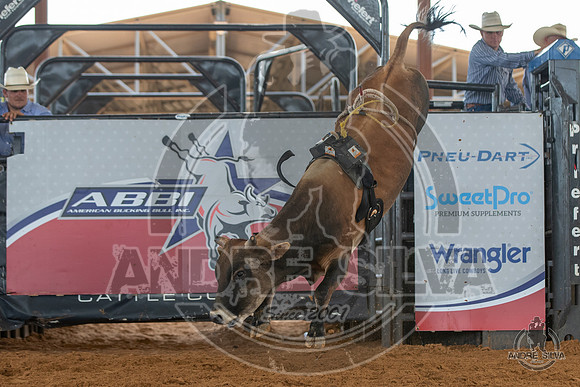 2020_May_23_ABBI_187