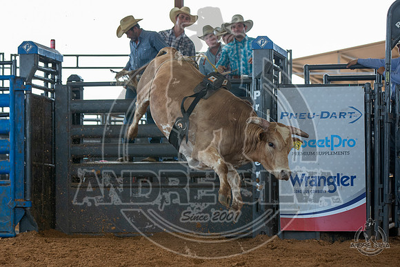 2020_May_23_ABBI_319
