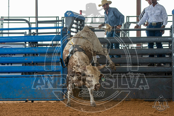 2020_May_23_ABBI_138
