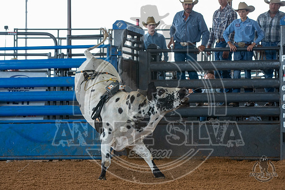 2020_May_23_ABBI_007