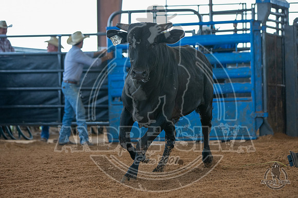 2020_May_23_ABBI_257