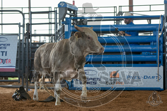 2020_May_23_ABBI_278