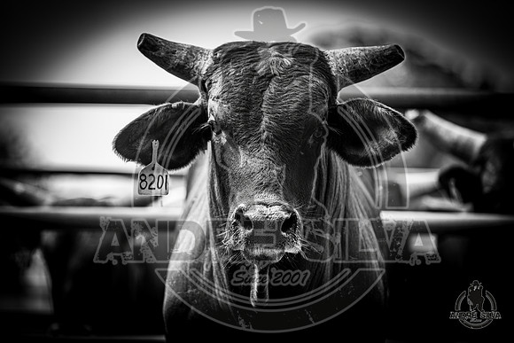 2020_May_23_ABBI_417