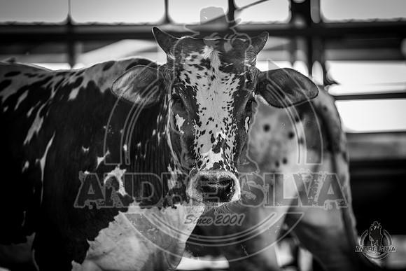 2020_May_23_ABBI_409
