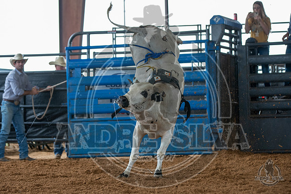 2020_May_23_ABBI_072