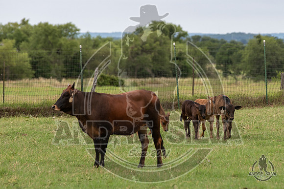 2020_May_23_ABBI_377