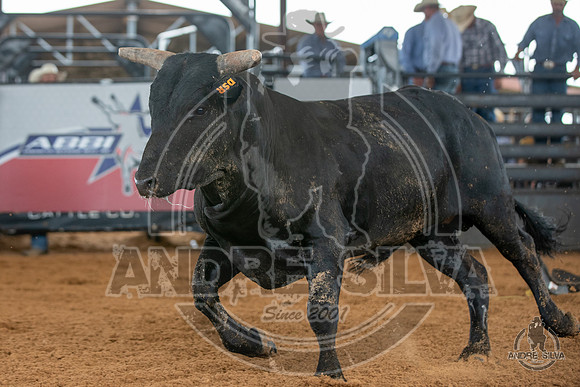 2020_May_23_ABBI_171