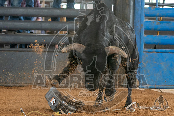 2020_May_23_ABBI_170
