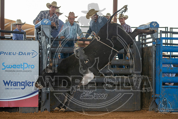 2020_May_23_ABBI_040