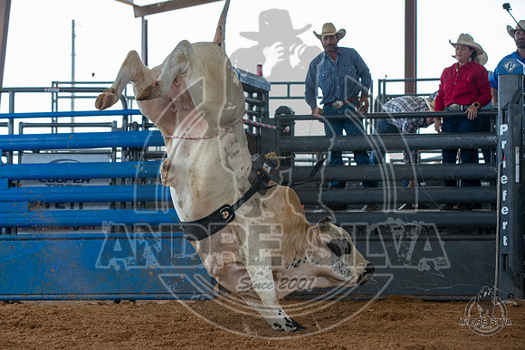 2020_May_23_ABBI_096