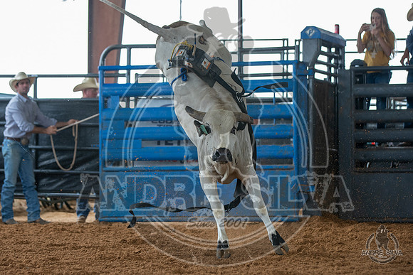 2020_May_23_ABBI_073