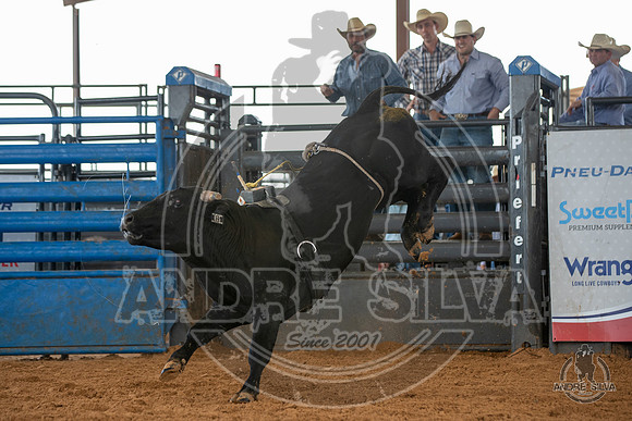 2020_May_23_ABBI_198
