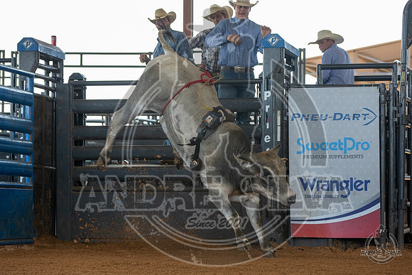 2020_May_23_ABBI_238