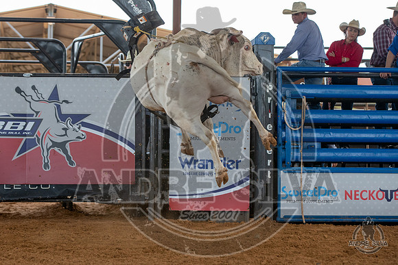 2020_May_23_ABBI_104