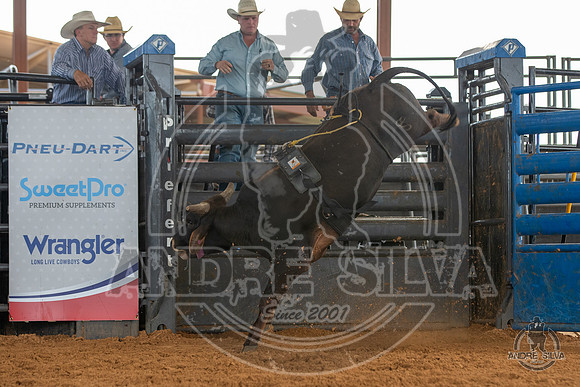 2020_May_23_ABBI_194