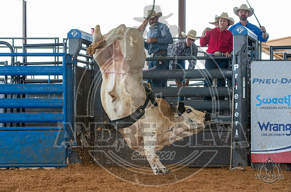 2020_May_23_ABBI_093