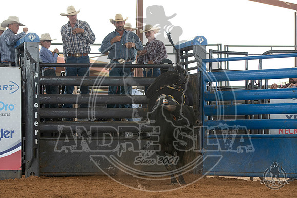 2020_May_23_ABBI_049