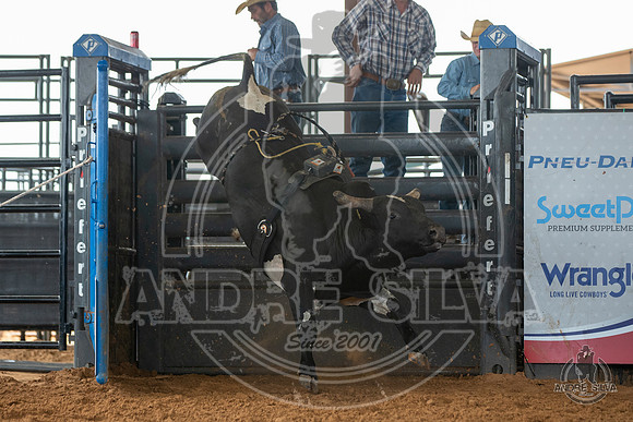 2020_May_23_ABBI_029