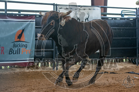 2020_May_23_ABBI_266