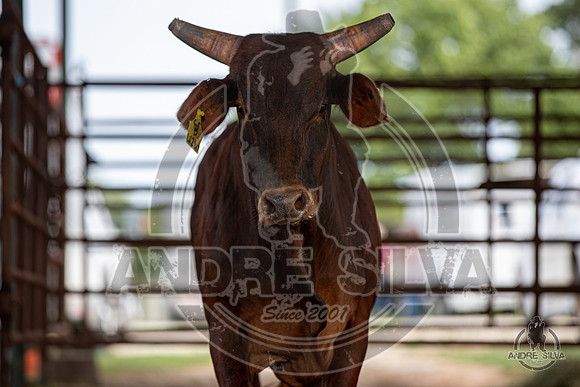 2020_May_23_ABBI_413