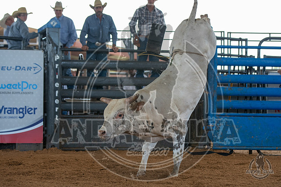 2020_May_23_ABBI_273