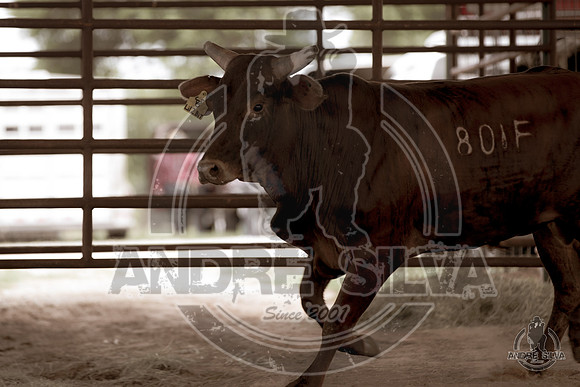 2020_May_23_ABBI_411