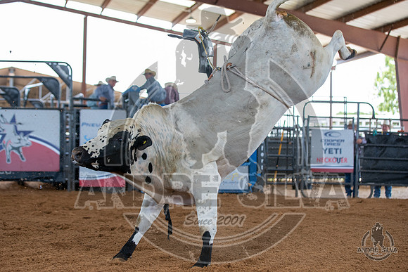 2020_May_23_ABBI_232
