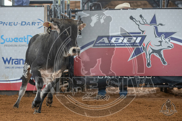 2020_May_23_ABBI_161