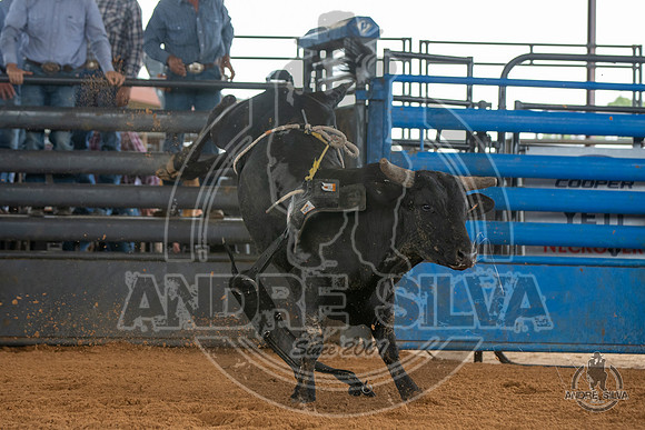 2020_May_23_ABBI_169