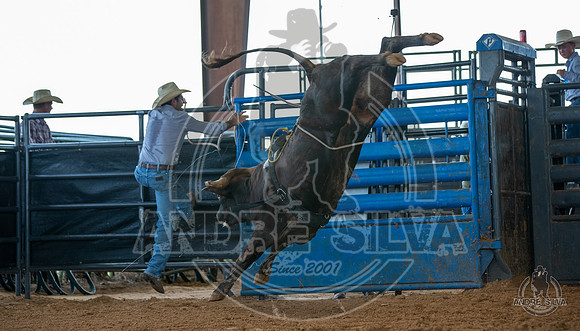 2020_May_23_ABBI_262