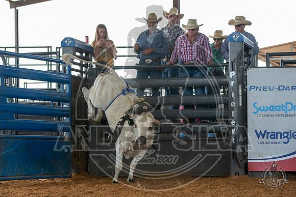 2020_May_23_ABBI_071