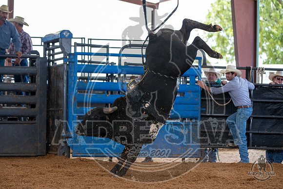 2020_May_23_ABBI_052
