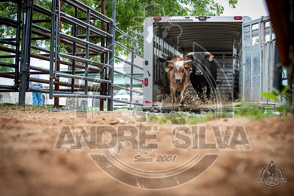 2020_May_23_ABBI_401