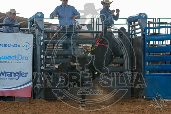 2020_May_23_ABBI_294