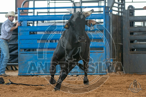 2020_May_23_ABBI_204