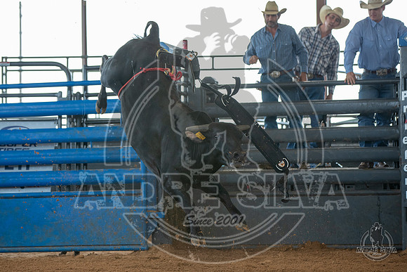 2020_May_23_ABBI_244