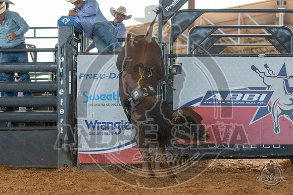 2020_May_23_ABBI_218