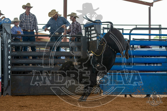 2020_May_23_ABBI_050