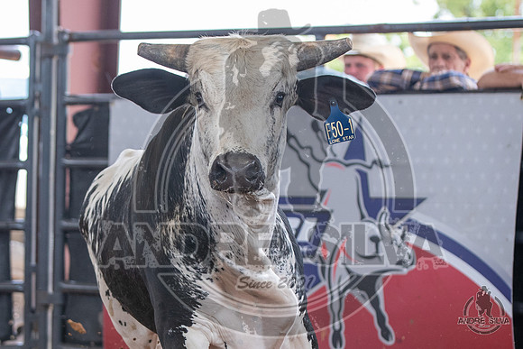 2020_May_23_ABBI_156