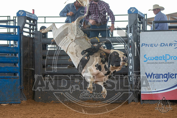 2020_May_23_ABBI_162